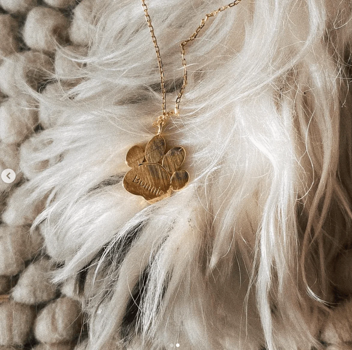 Pet Dog Paw Necklace - Image 3