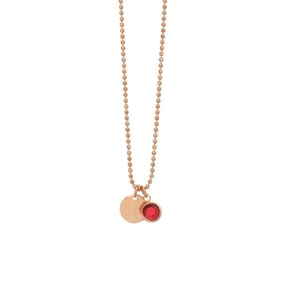 Initial Disc Birthstone Necklace - Image 10